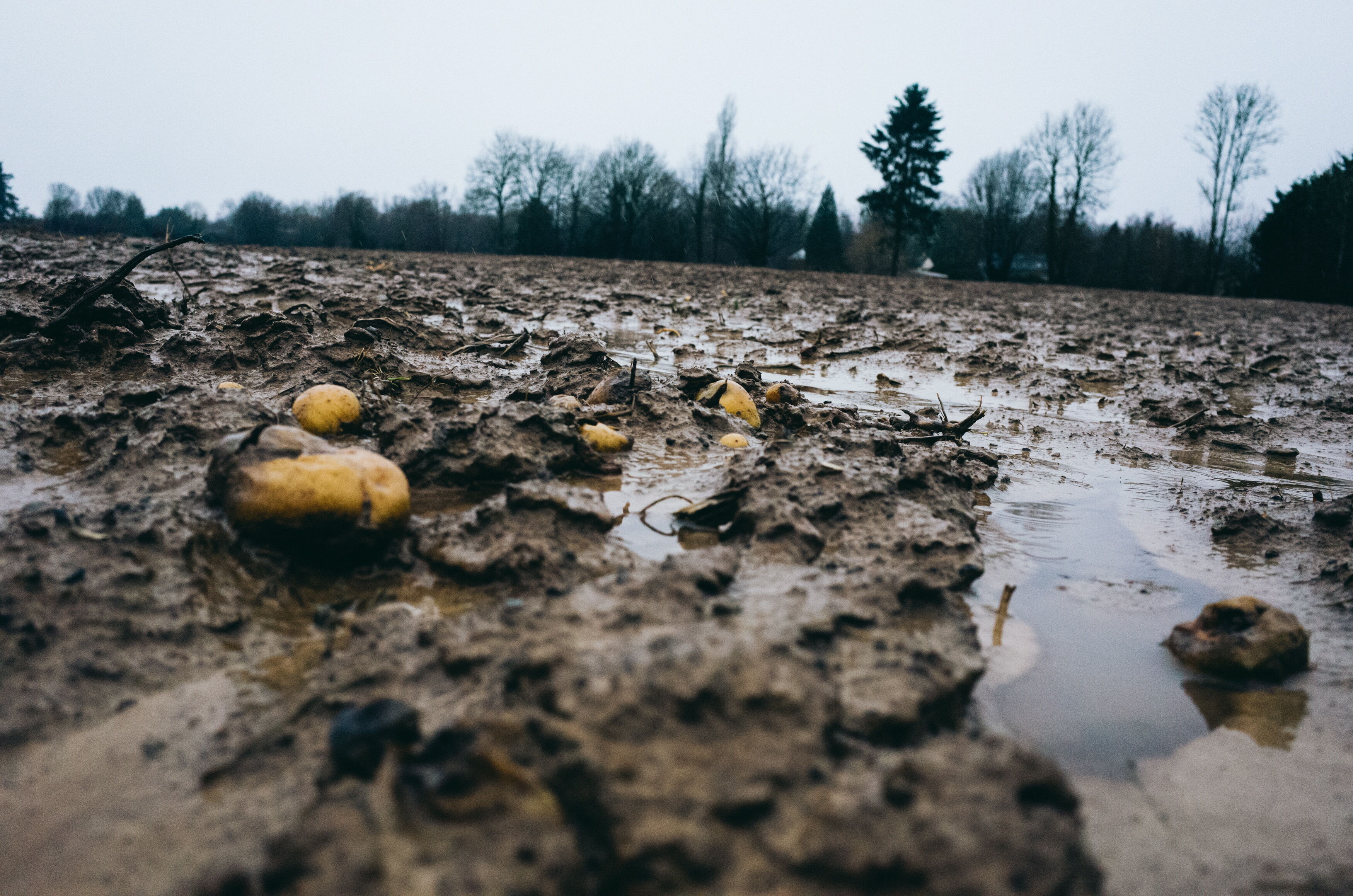 Sur les pesticides, le RN fait une queue de poison 