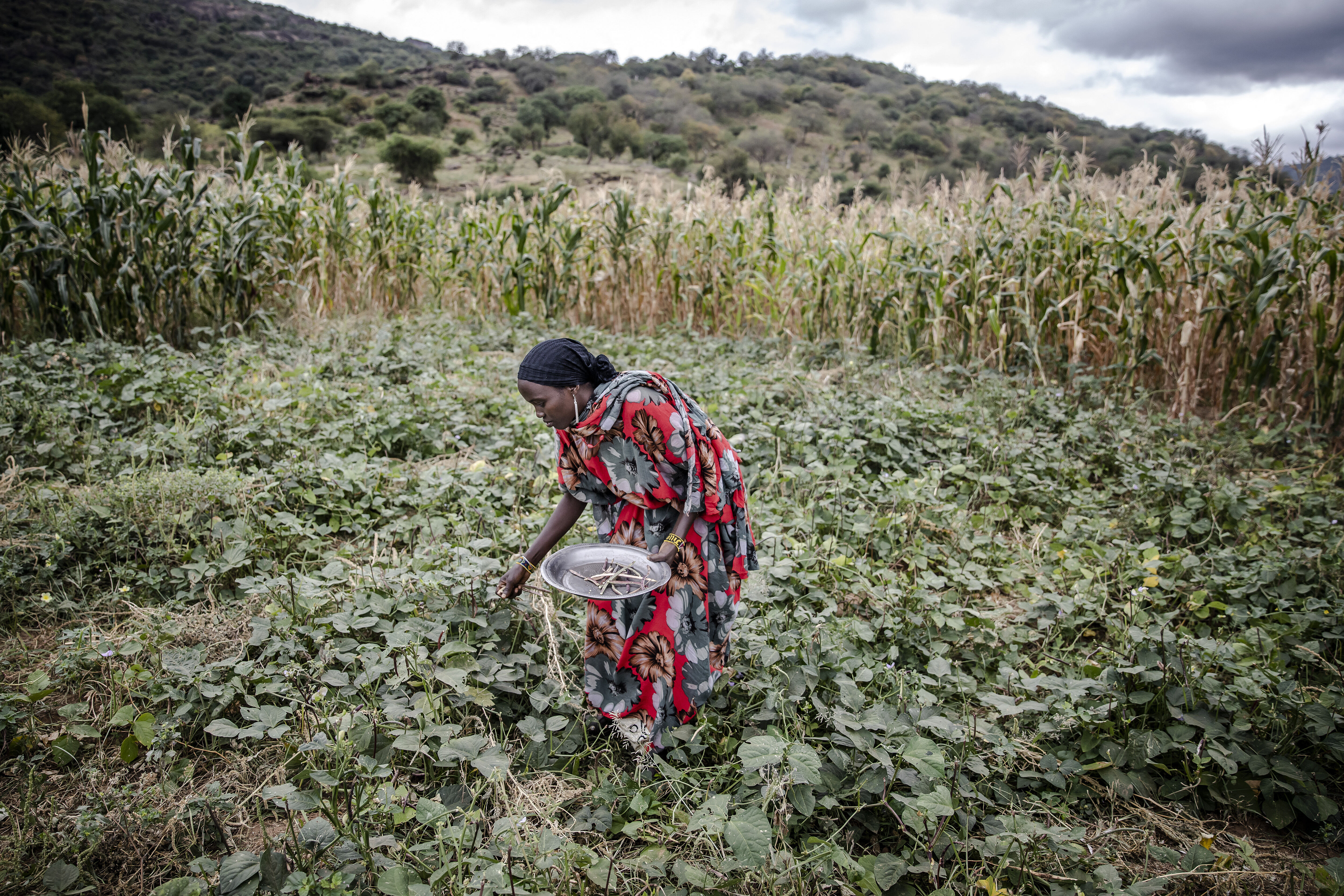 Nourrir l’humanité tout en polluant moins, c’est possible, selon l’ONU et l’OCDE