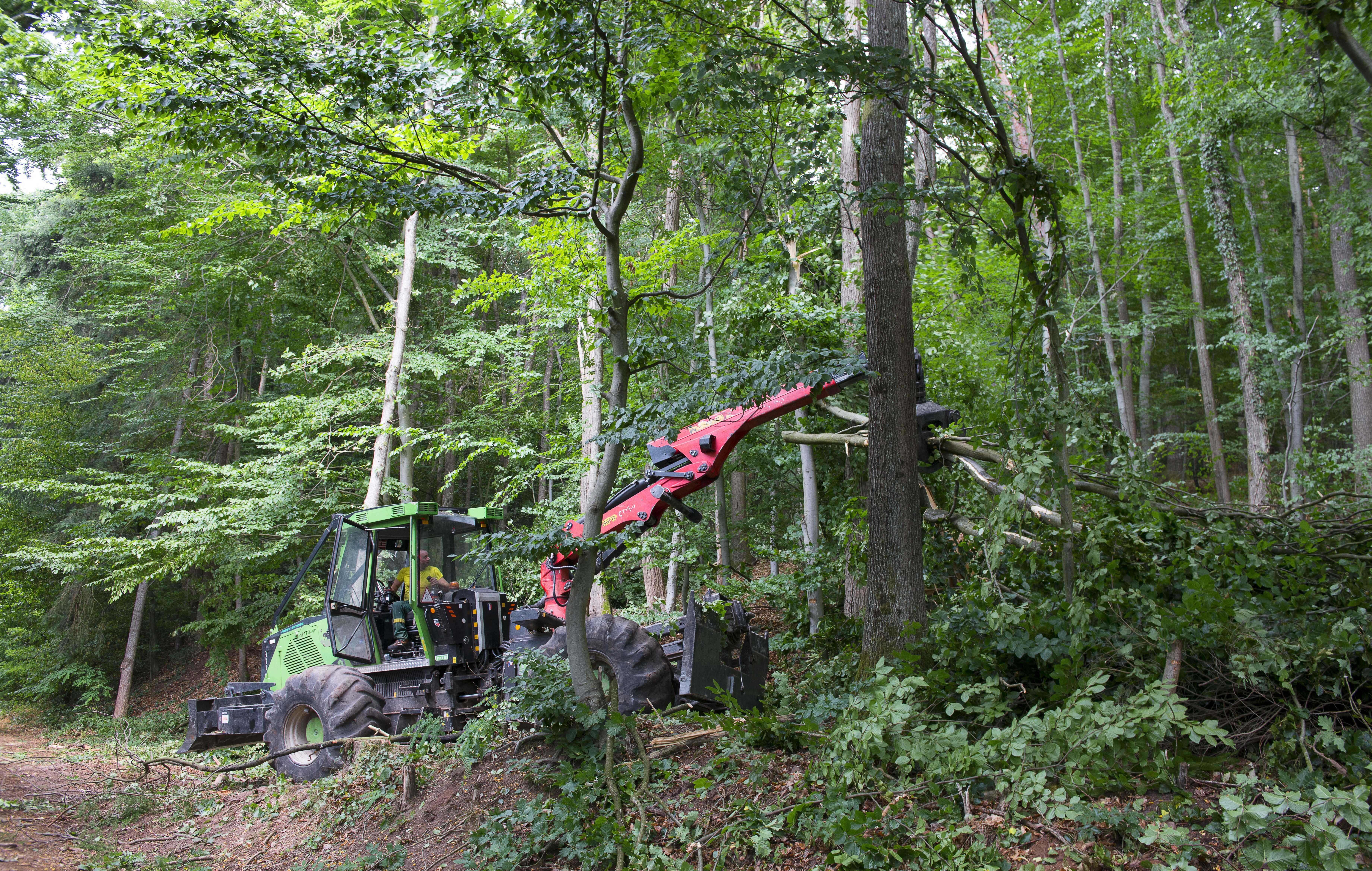 Loi anti-déforestation : l’Union européenne repousse d’un an son entrée en vigueur