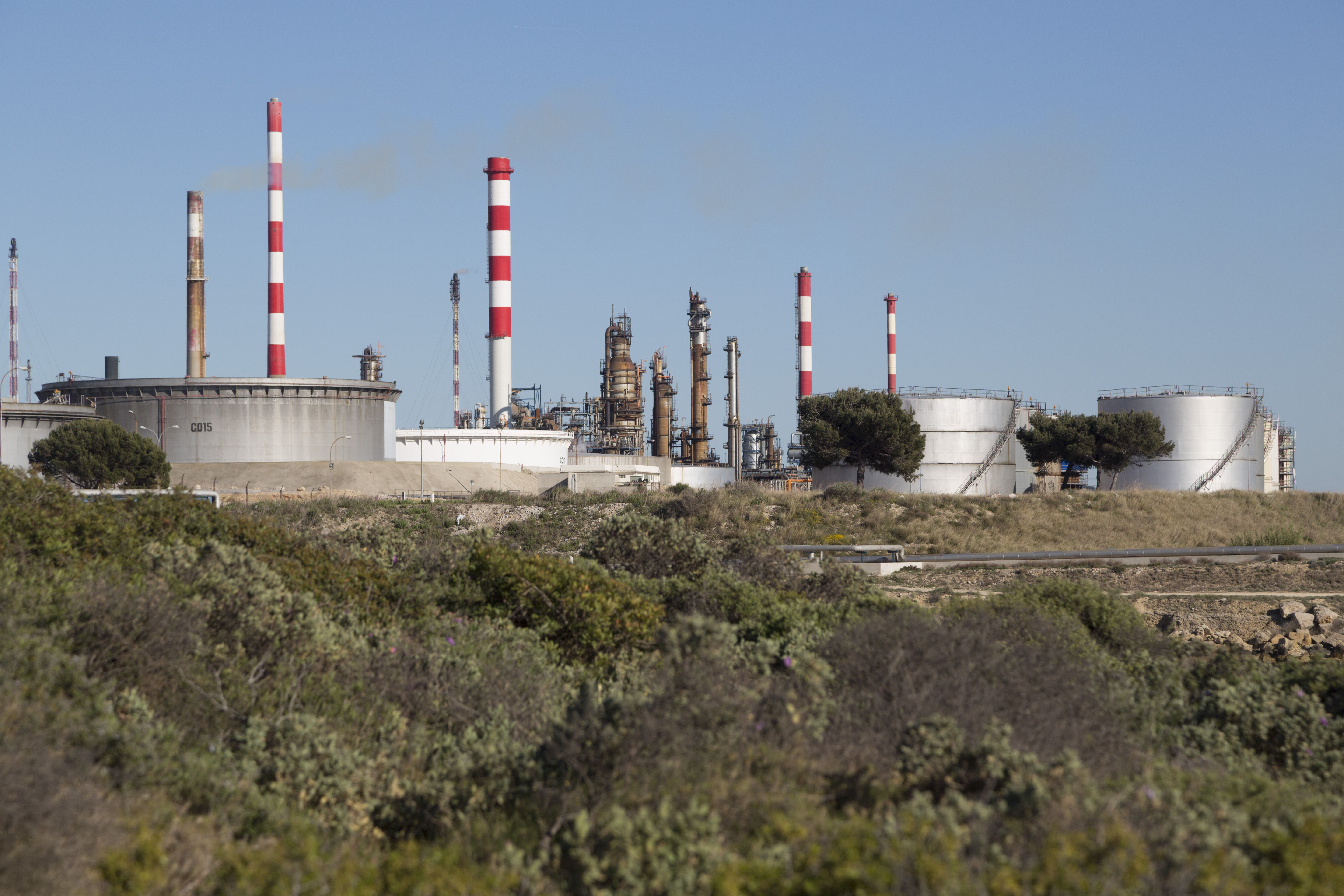 Dans la zone industrielle de Martigues, on traque le lichen pour évaluer la qualité de l’air